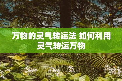 万物的灵气转运法 如何利用灵气转运万物