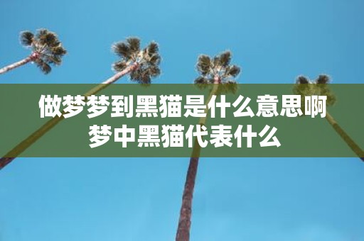 做梦梦到黑猫是什么意思啊 梦中黑猫代表什么