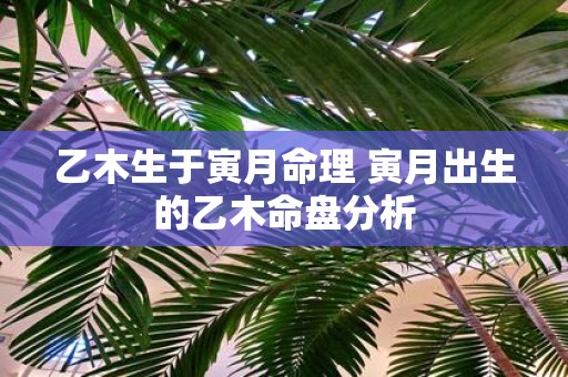 乙木生于寅月命理 寅月出生的乙木命盘分析