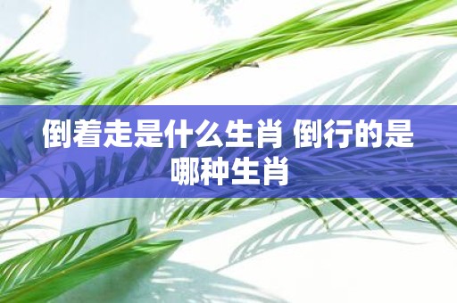 倒着走是什么生肖 倒行的是哪种生肖