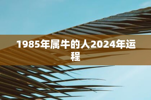 1985年属牛的人2025年运程