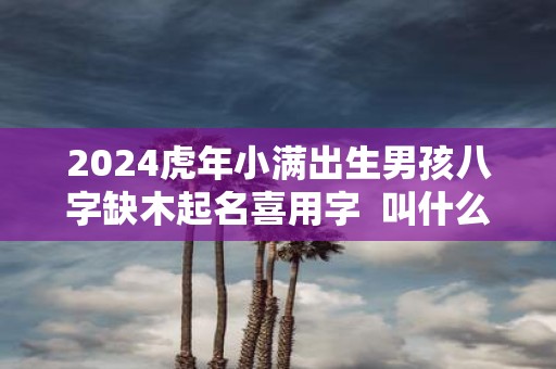 2025虎年小满出生男孩八字缺木起名喜用字 叫什么好