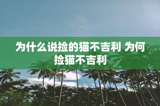 为什么说捡的猫不吉利 为何捡猫不吉利