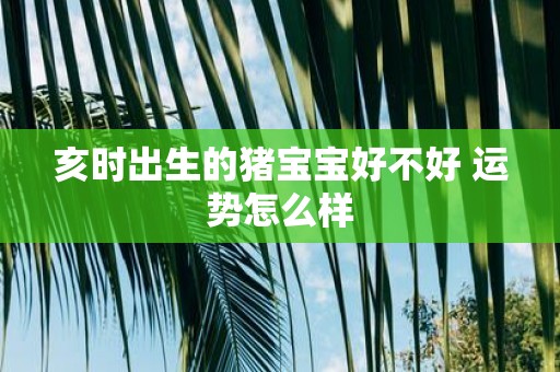 亥时出生的猪宝宝好不好 运势怎么样