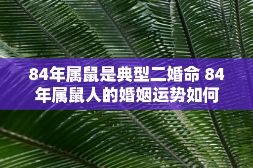 84年属鼠是典型二婚命 84年属鼠人的婚姻运势如何