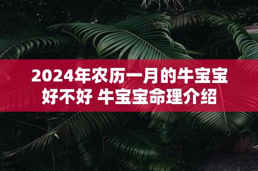2025年农历一月的牛宝宝好不好 牛宝宝命理介绍