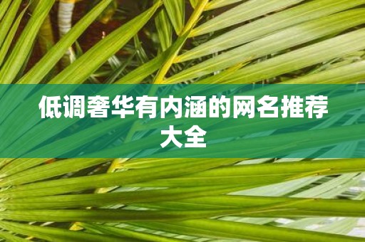 低调奢华有内涵的网名推荐大全