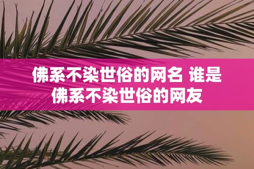 佛系不染世俗的网名 谁是佛系不染世俗的网友