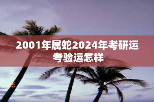 2001年属蛇2025年考研运 考验运怎样