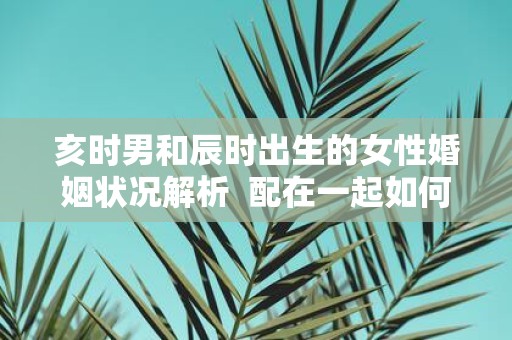 亥时男和辰时出生的女性婚姻状况解析 配在一起如何