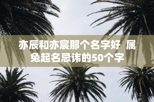 亦辰和亦宸那个名字好 属兔起名忌讳的50个字