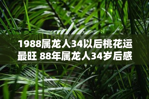1988属龙人34以后桃花运最旺 88年属龙人34岁后感情婚姻运势如何