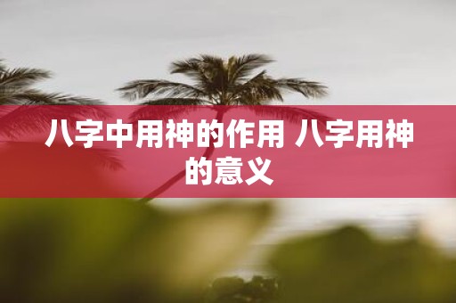八字中用神的作用 八字用神的意义
