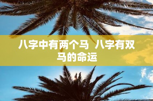 八字中有两个马 八字有双马的命运