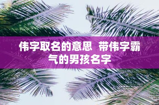 伟字取名的意思 带伟字霸气的男孩名字
