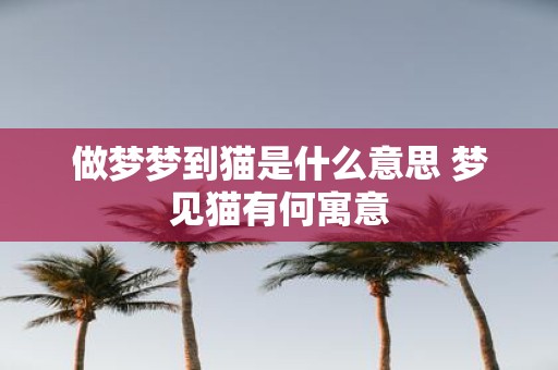 做梦梦到猫是什么意思 梦见猫有何寓意