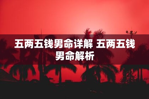 五两五钱男命详解 五两五钱男命解析