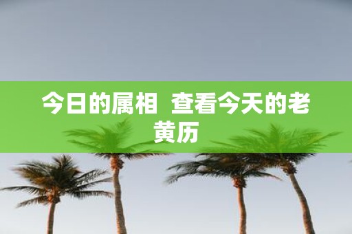 今日的属相 查看今天的老黄历