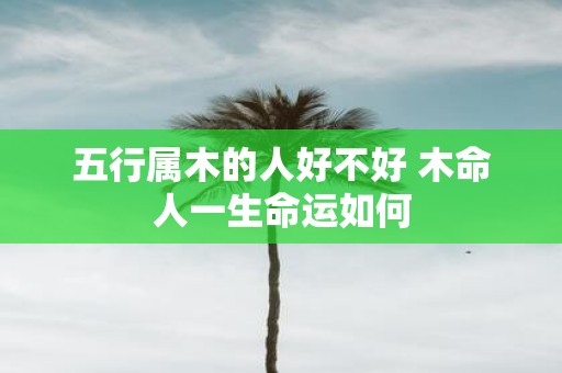 五行属木的人好不好 木命人一生命运如何