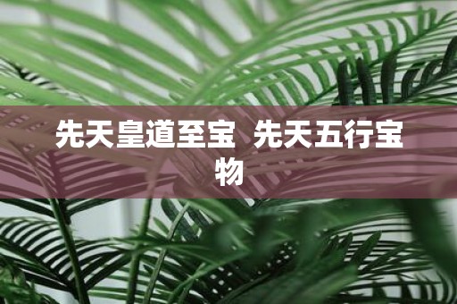先天皇道至宝 先天五行宝物