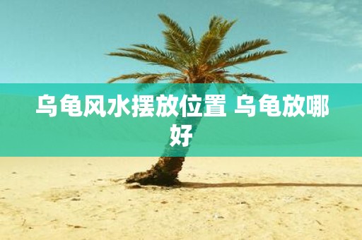 乌龟风水摆放位置 乌龟放哪好