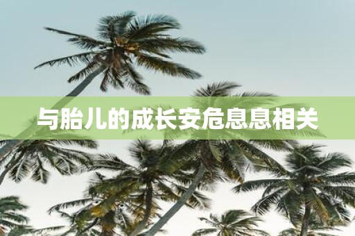 与胎儿的成长安危息息相关
