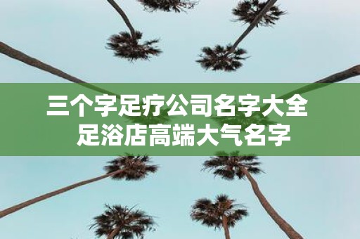 三个字足疗公司名字大全 足浴店高端大气名字