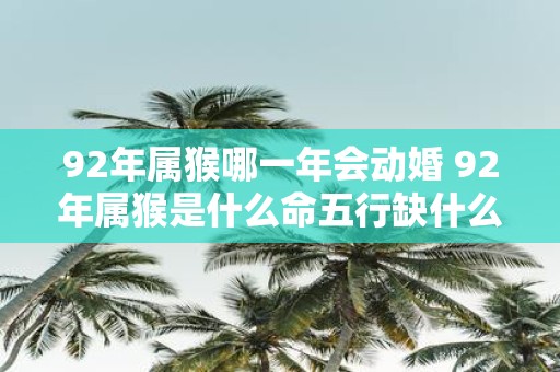 92年属猴哪一年会动婚 92年属猴是什么命五行缺什么