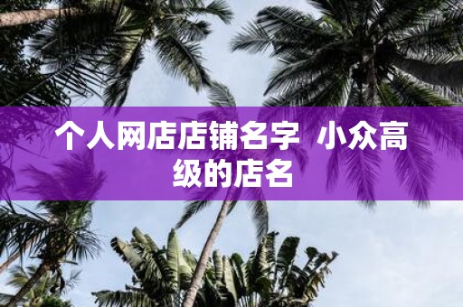 个人网店店铺名字 小众高级的店名