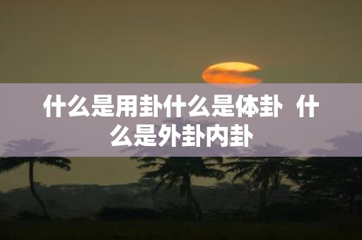 什么是用卦什么是体卦 什么是外卦内卦