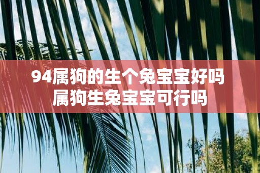 94属狗的生个兔宝宝好吗 属狗生兔宝宝可行吗