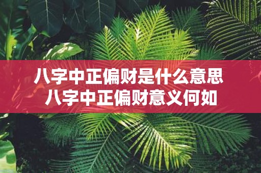 八字中正偏财是什么意思 八字中正偏财意义何如