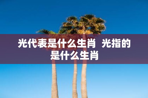 光代表是什么生肖 光指的是什么生肖