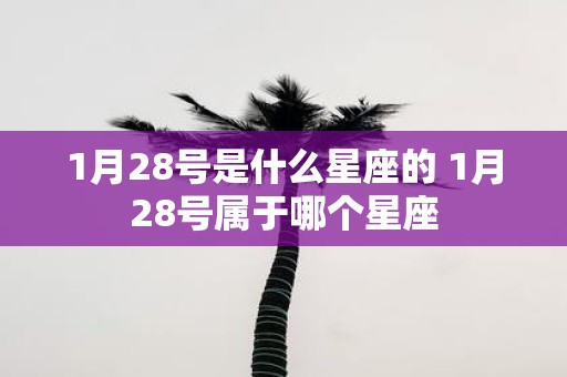 1月28号是什么星座的 1月28号属于哪个星座