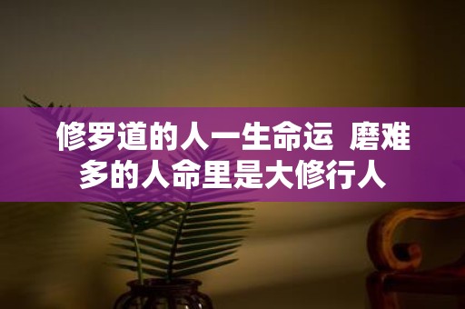 修罗道的人一生命运 磨难多的人命里是大修行人