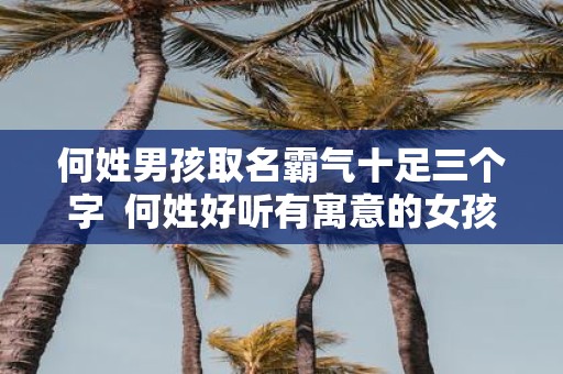 何姓男孩取名霸气十足三个字 何姓好听有寓意的女孩名字