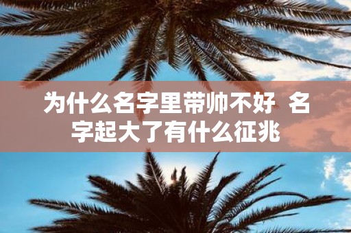 为什么名字里带帅不好 名字起大了有什么征兆