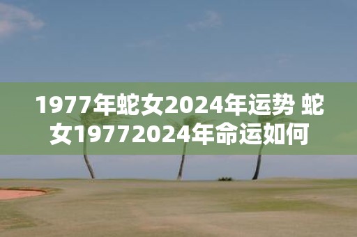 1977年蛇女2025年运势 蛇女19772025年命运如何