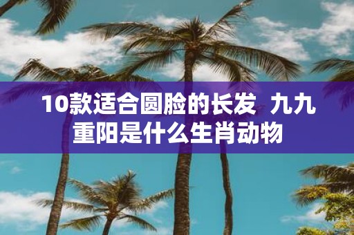 10款适合圆脸的长发 九九重阳是什么生肖动物