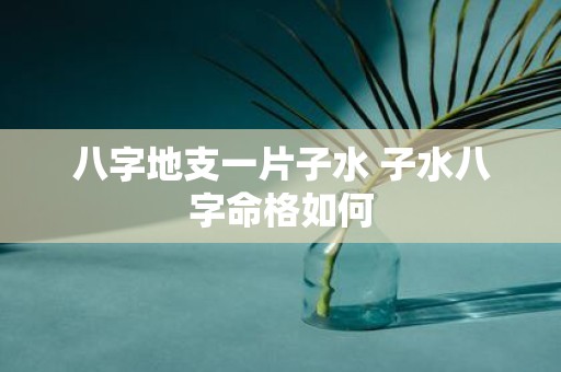 八字地支一片子水 子水八字命格如何