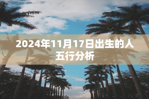 2025年11月17日出生的人五行分析