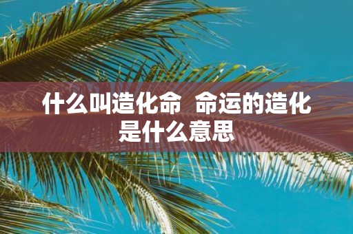 什么叫造化命 命运的造化是什么意思