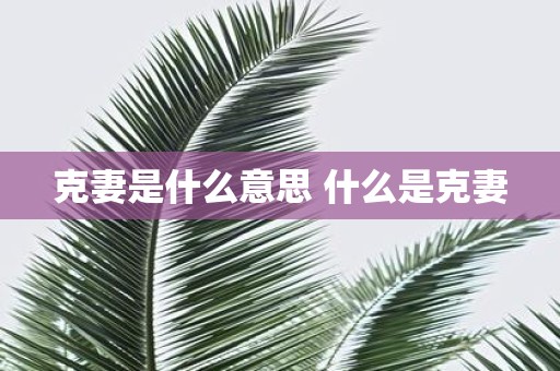 克妻是什么意思 什么是克妻