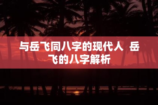 与岳飞同八字的现代人 岳飞的八字解析