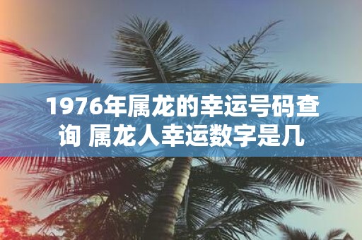 1976年属龙的幸运号码查询 属龙人幸运数字是几