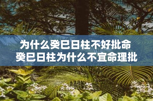为什么癸巳日柱不好批命 癸巳日柱为什么不宜命理批断