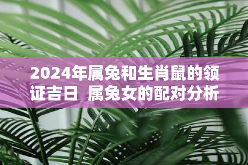 2025年属兔和生肖鼠的领证吉日 属兔女的配对分析