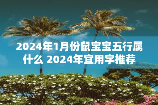 2025年1月份鼠宝宝五行属什么 2025年宜用字推荐