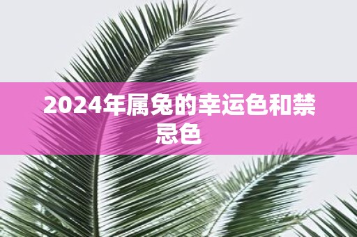 2025年属兔的幸运色和禁忌色