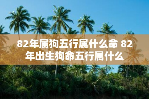 82年属狗五行属什么命 82年出生狗命五行属什么